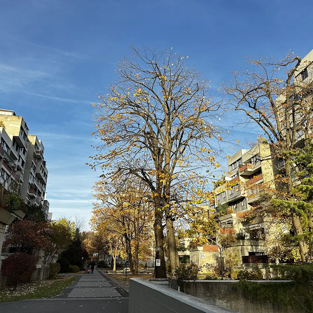 ulrikehiltmann_praxis_graz_aussenansicht1